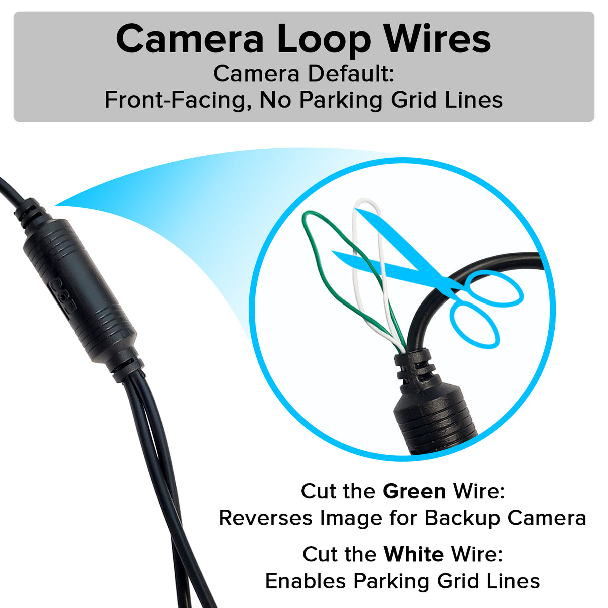 Master Tailgaters Small License Plate Frame Backup or Front Camera with 8 IR LED Night Vision, IP68 Waterproof, and 170° Wide Angle Camera